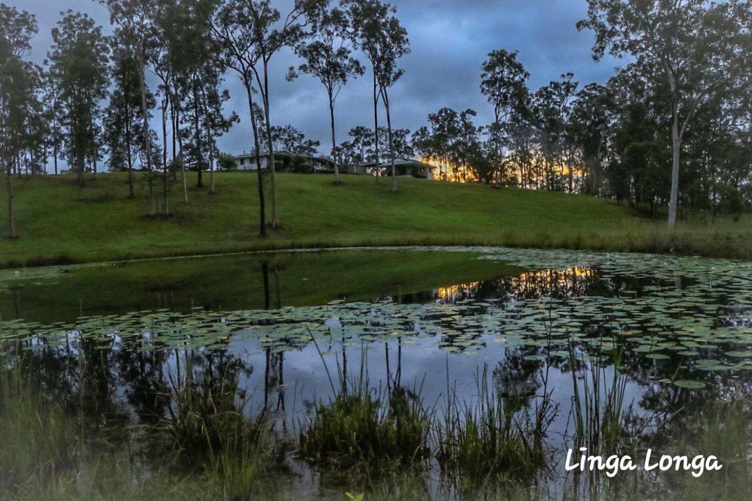 Linga Longa Spiritual Glamping Retreat